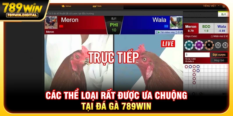 Các thể loại rất được ưa chuộng tại đá gà 789WIN