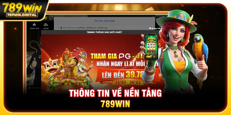 Thông tin về nền tảng 789WIN